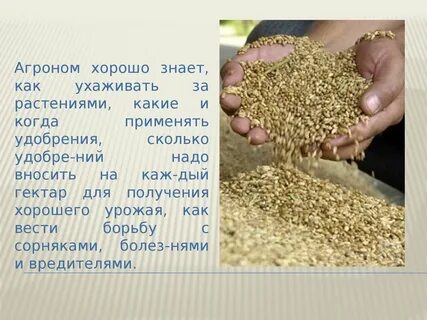 Что должен знать агроном