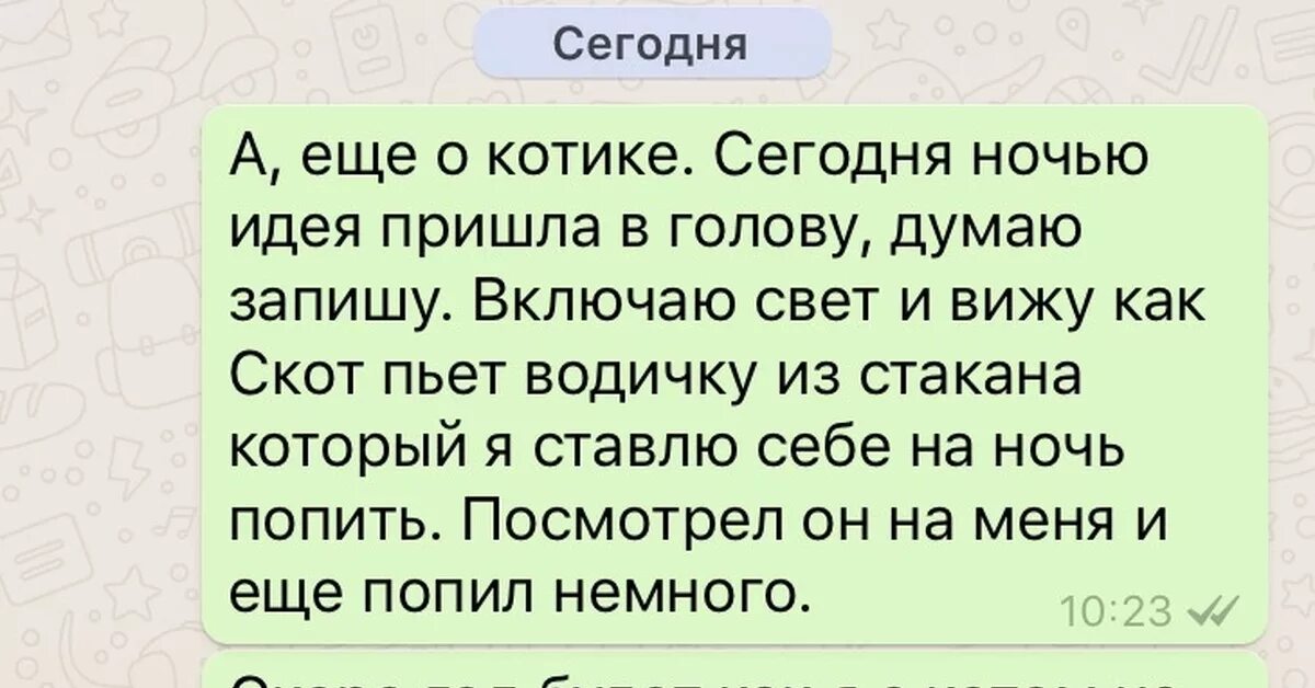 Гениальные мысли приходят. Мысли ночью смешные. Вопросы на ночь смешные. Смешные размышления на ночь. Дурацкие мысли на ночь.