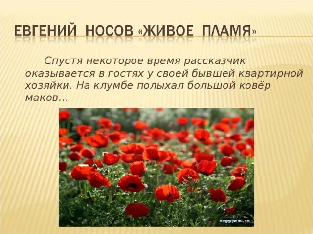 Рассказ живое пламя Носов. Живое пламя. Литература 5 класс учебник живое пламя