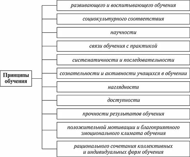 Принцип развивающего и воспитывающего. Принцип воспитывающего обучения. Принцип воспитывающего обучения пример. Принципы обучения географии. Дидактические принципы обучения наглядности.