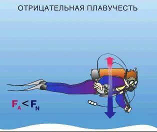 Плавучесть