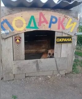 Будка екатеринбург