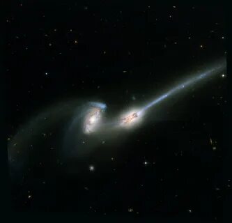 Org image