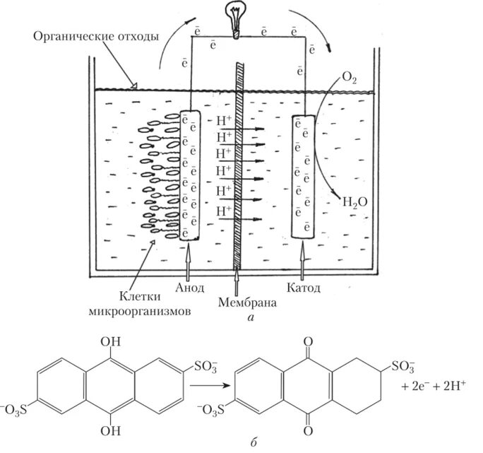 Получение энергии бактериями. Биотопливный элемент принципиальная схема. Микробный топливный элемент схема. Микробный топливный элемент принцип работы. Растительный микробный топливный элемент.