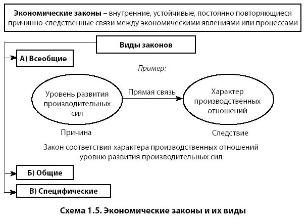 Категория экономической теории. Экономические законы. Экономические законы схема. Виды экономических законов. Экономические законы и категории.