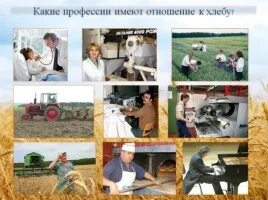 Примеры профессий в сельском хозяйстве