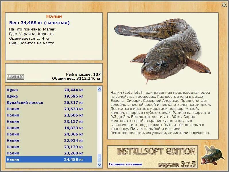 вес может достигать. осетровые по весу. вес может достигать. вес может достигать. вес может достигать.