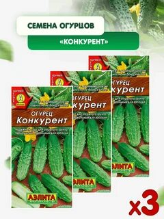 Огурец сорта конкурент