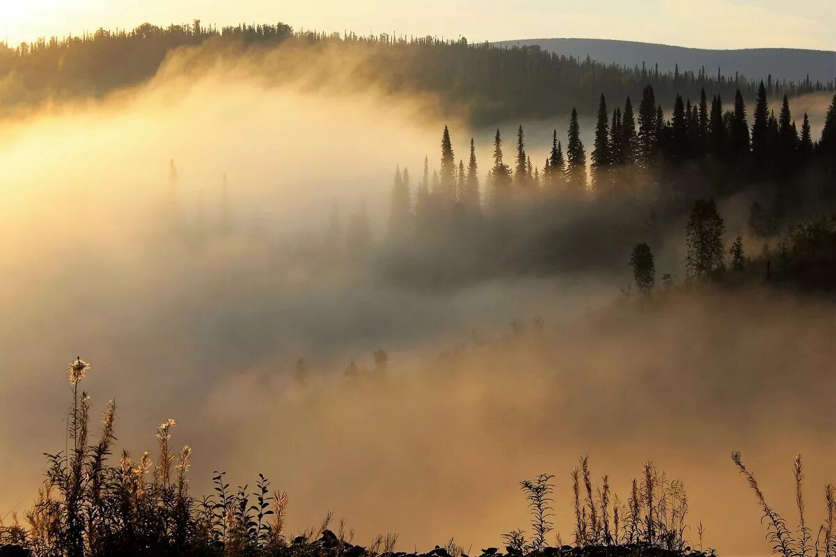 девушка на волне. укажите предложение, в котором нет деепричастного оборота. красивые афоризмы про туман. девушка в волнах моря. закат девушка природа.