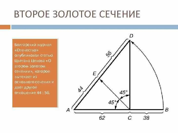 Отношение в золотом сечении. Второе золотое сечение 56 44. Построение второго золотого сечения. Исследовательская работа золотое сечение. Золотое сечение схема.