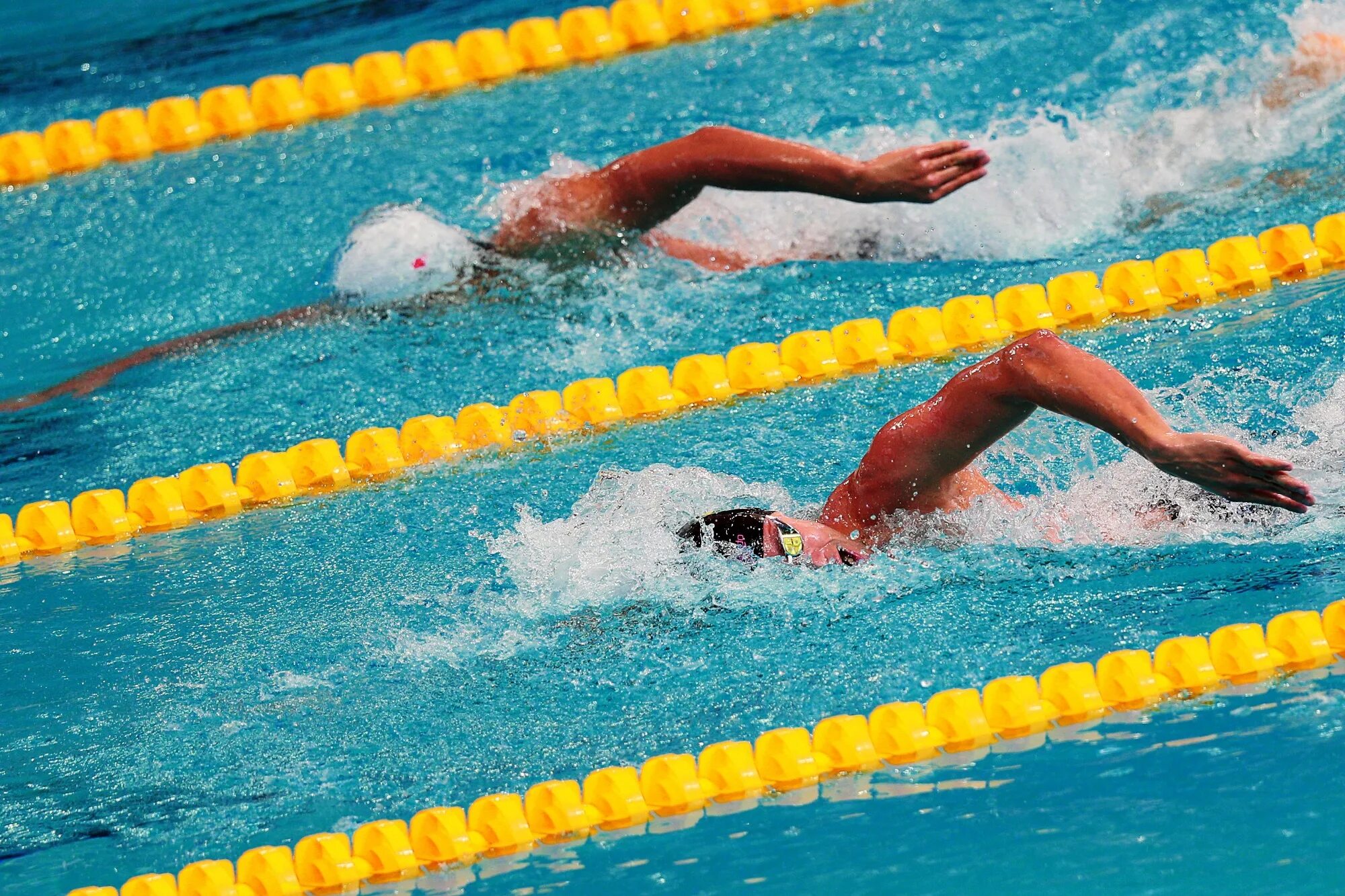 Fina плавание. Fina Федерация плавания. Международная Федерация водных видов спорта. Организация купания