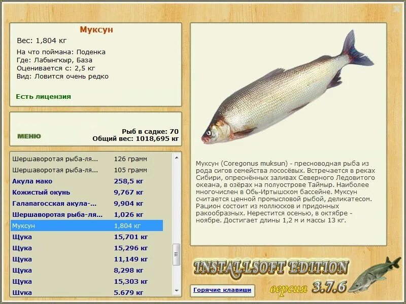 сазан. рыба пелядь и сиг. пресноводная рыба семейства карповых 5 букв. рыба семейства карповых 7. род рыб 5 букв.
