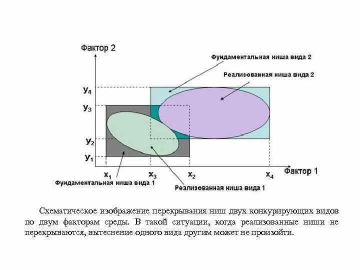 Фундаментальная и реализованная экологическая ниша. Схематическое изображение экологической ниши. Модель экологической ниши Хатчинсона. Экологическая ниша фундаментальная и реализованная ниши. Потенциальная ниша