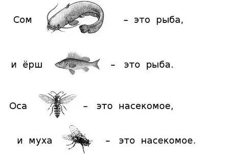 Сколько в слове ерш