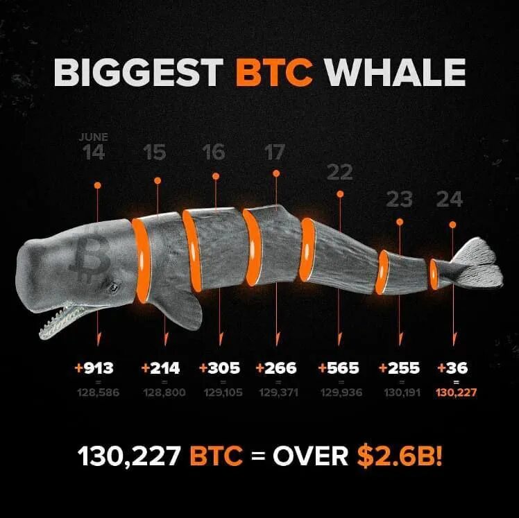 Top 10 bitcoin whales part 2 код
