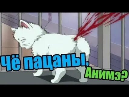Ну что пацаны