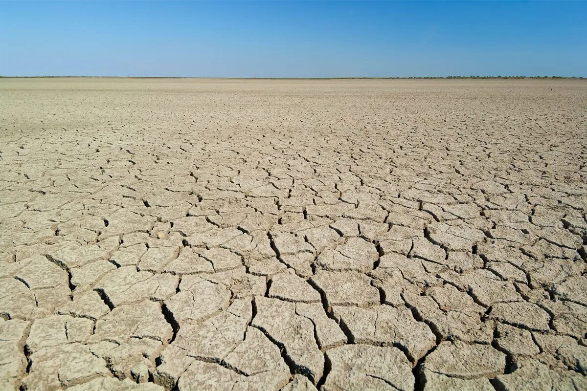 Вызывающая засуху. Опустынивание Марокко. Опустынивание и засоление почвы. Экология пустыни. Эрозия почв, засоление, заболачивание, опустынивание..