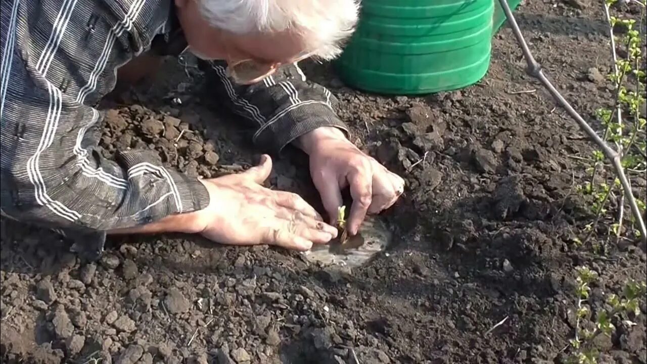 Как открыть видео на даче