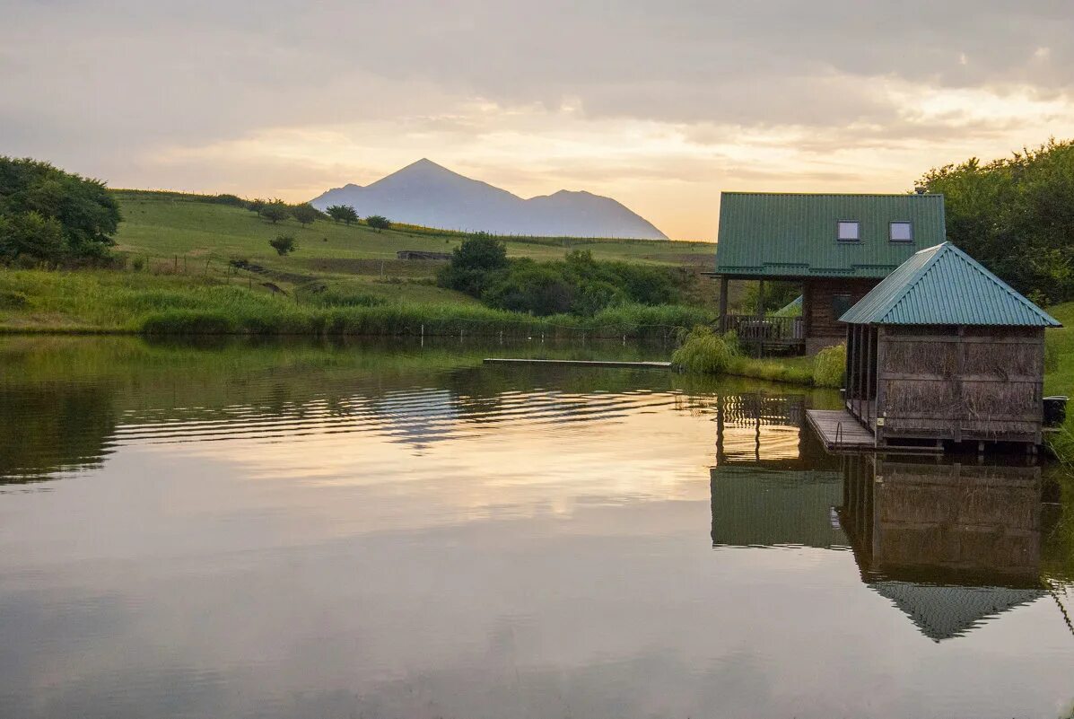 ногайская степь. простор ставрополь. простор ставрополь. желтое поле. просторы села ставрополье.