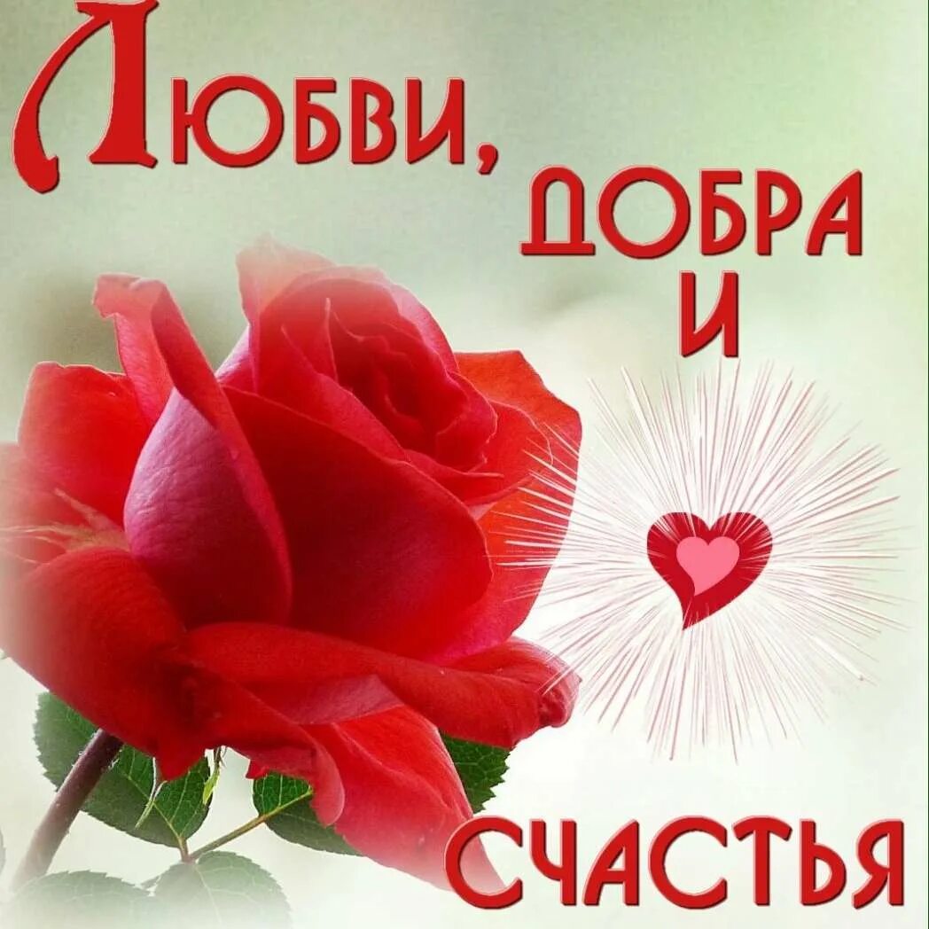 Пожелания добра здоровья счастья. Пожелания счастья и здоровья. Пожелание добра и счастье любимому. Пожелания счастья и добра. Пожелание добра и счастье любимому.