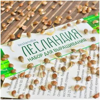 Лесландия