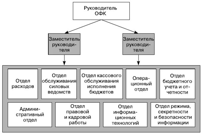 Организационная структура казначейства РФ. Структура отдела казначейства в организации. Структура органов федерального казначейства. Должности в отделе казначейства. Казначейство орган власти