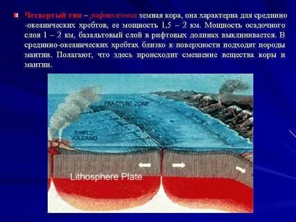 Земной коре свойственны движения