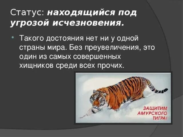 Какие животные находятся под угрозой. Животные которые находятся под угрозой вымирания. животное находящееся под угрозой исчезновения. сообщение о животных которые находятся под угрозой исчезновения. животные которые находятся на грани исчезновения.