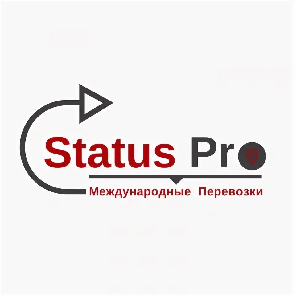 Ооо статус инн. ООО статус. Professional status. ООО статус Волгоград. ООО статус Пермь.