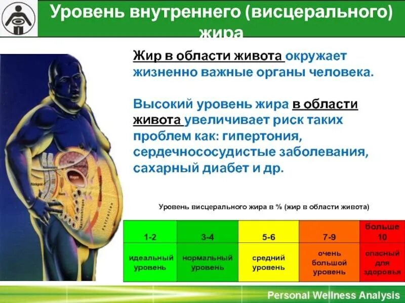 Как избавиться от висцерального жира у мужчин