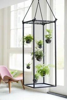 Maison des plantes