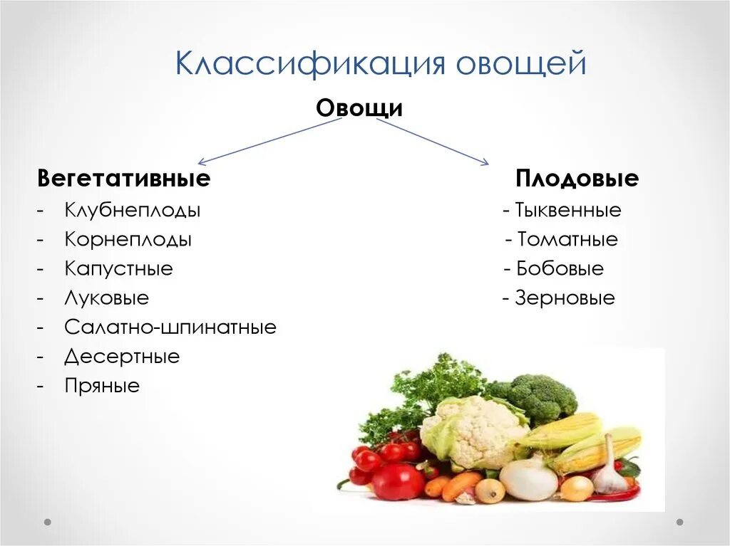 Классификация группы плодовых овощей. Плодовые овощи классификация. Схема классификации овощей таблица. Классификация вегетативных овощей. Овощи входящие в группу