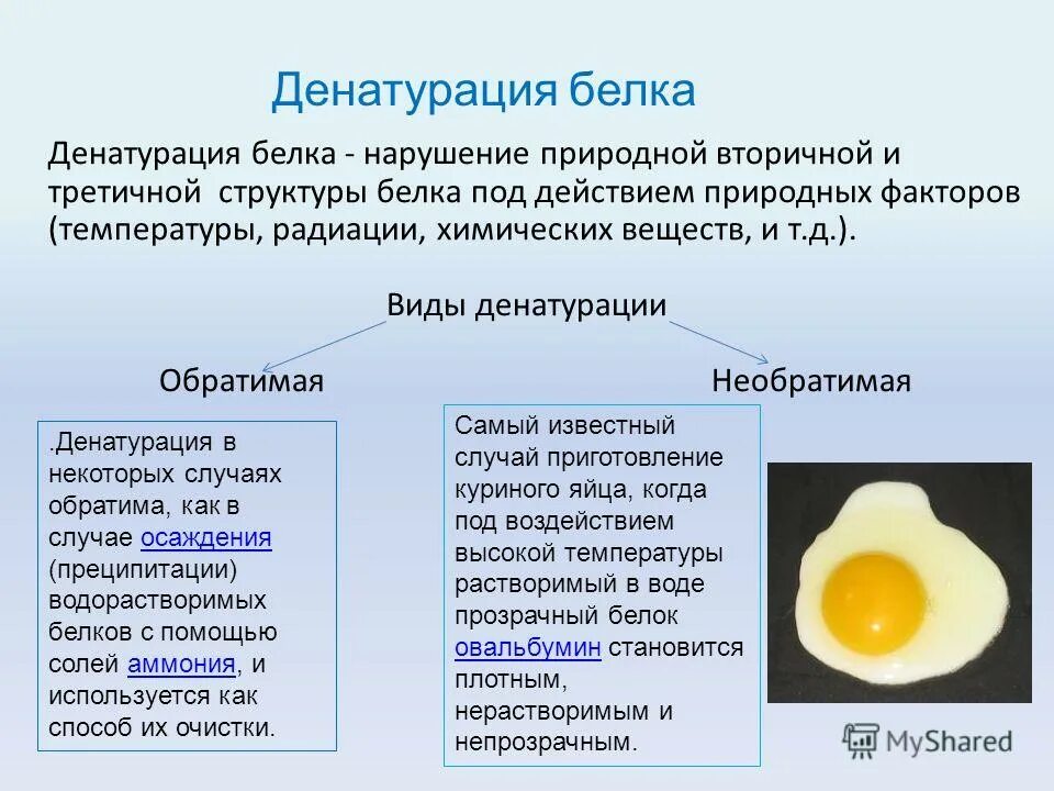 Процессы денатурации белка