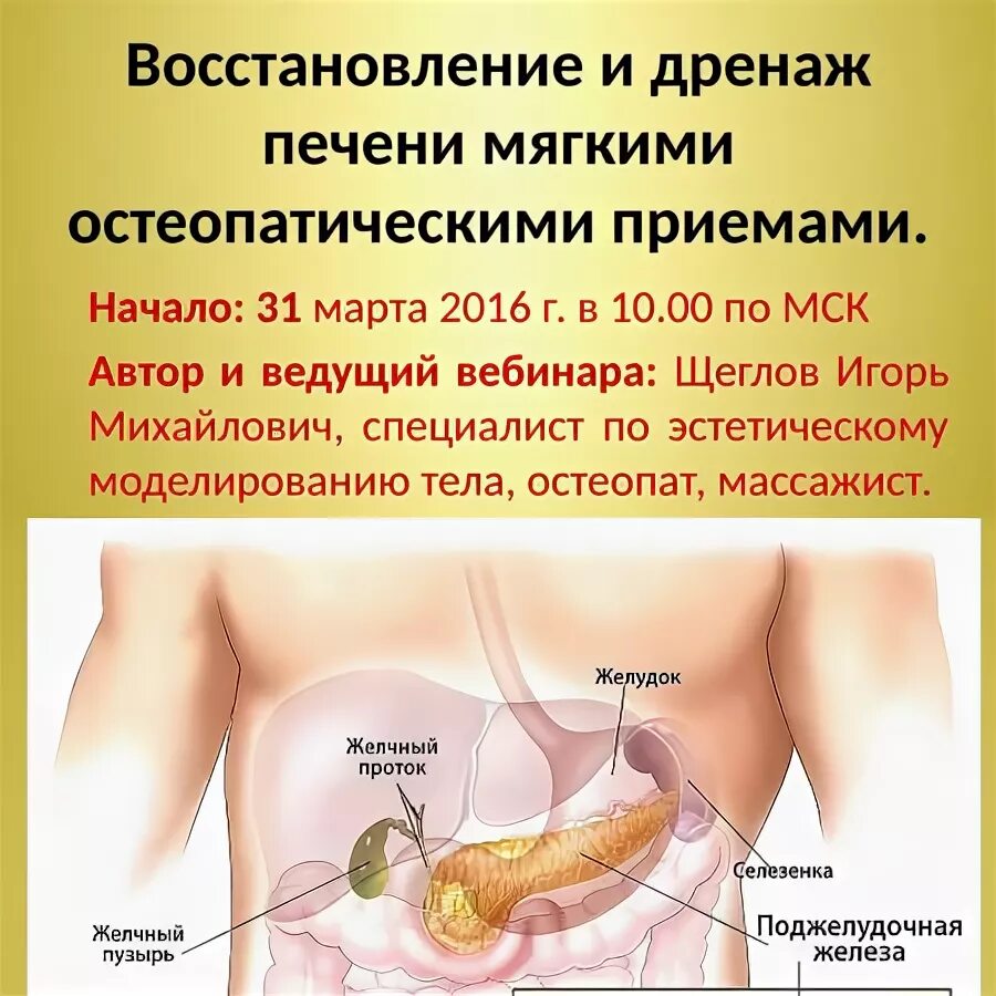 Дренажная трубка желчный пузырь. Дренажная трубка желчный пузырь. Внешнее дренирование желчных протоков;. Ретроградная папиллотомия. Дренаж желчных протоков печени.