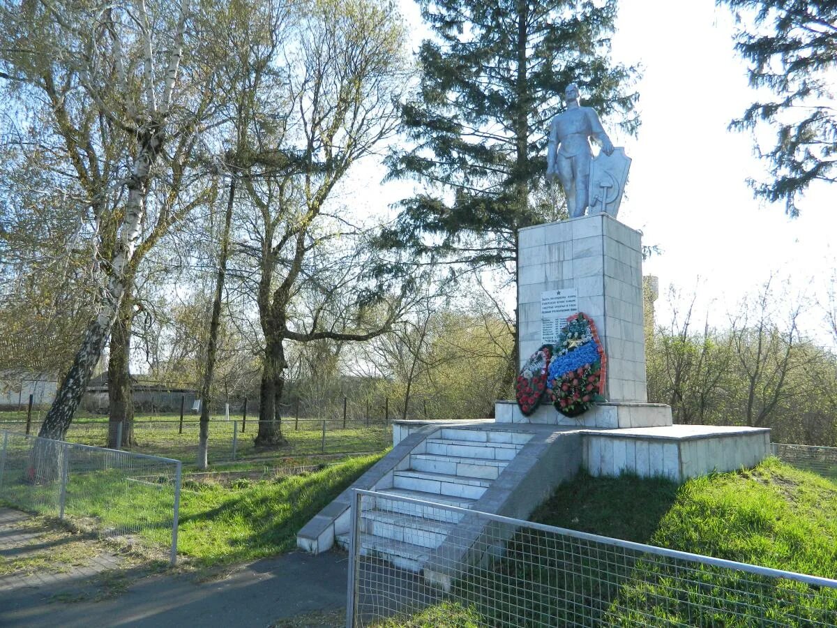 Селиховы дворы курск. Селиховы дворы курская область на карте. Деревня екатериновка курская область. Селиховы дворы курская область. Селиховы дворы курск.