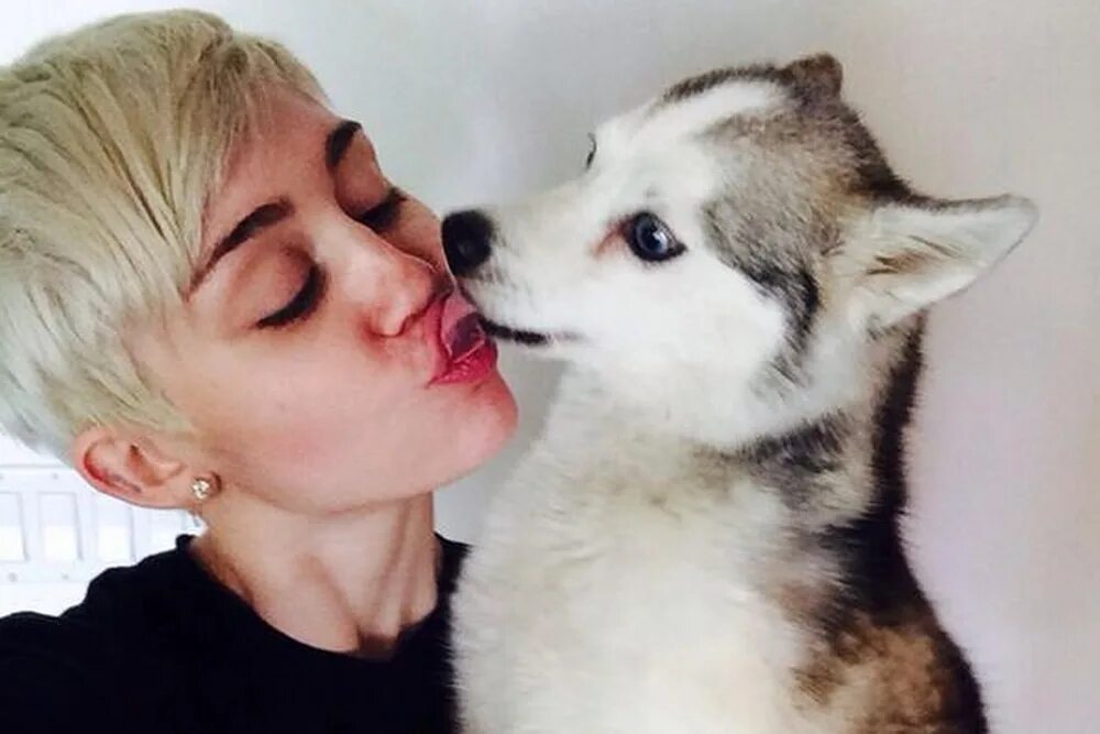 Miley cyrus broken. Майли сайрус с собаками. певица майли сайрус и ее собака. аляскинский кли-кай miley cyrus. майли порода собаки.