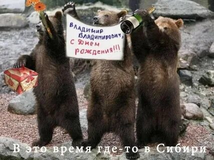 Медведь на день рождения фото