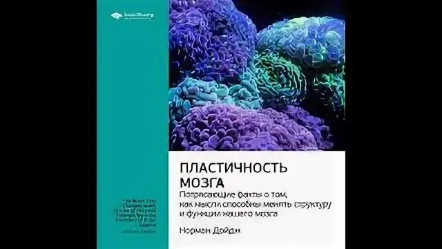 Нейропластичность мозга. Нейропластичность мозга Дойдж. Пластичный мозг