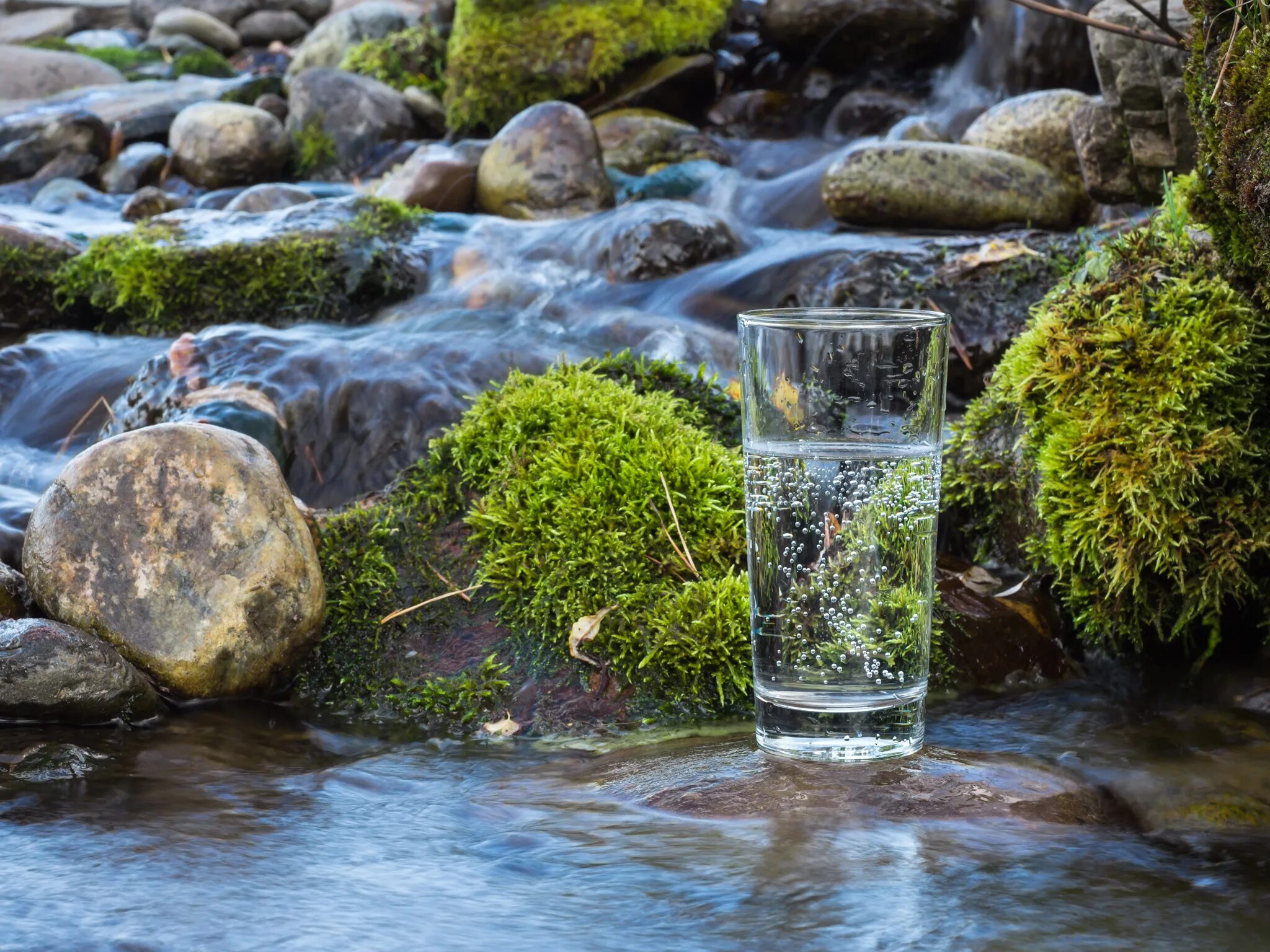 Растительный источник воды. Родниковая вода. Минеральные воды. Источники питьевой воды. Стакан воды на природе.