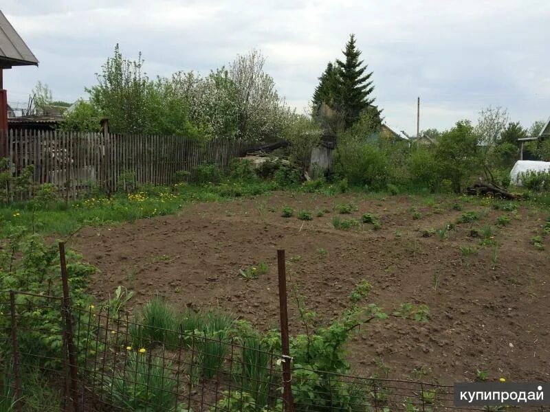 Снт экология токсово карьер. Участок 12 соток. Дачный участок земли. Участок снт. Снт "лето" пензенская область.