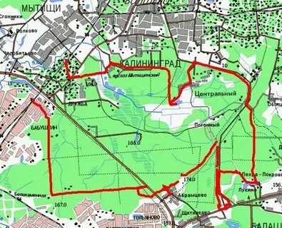 Как добраться до лосиного парка