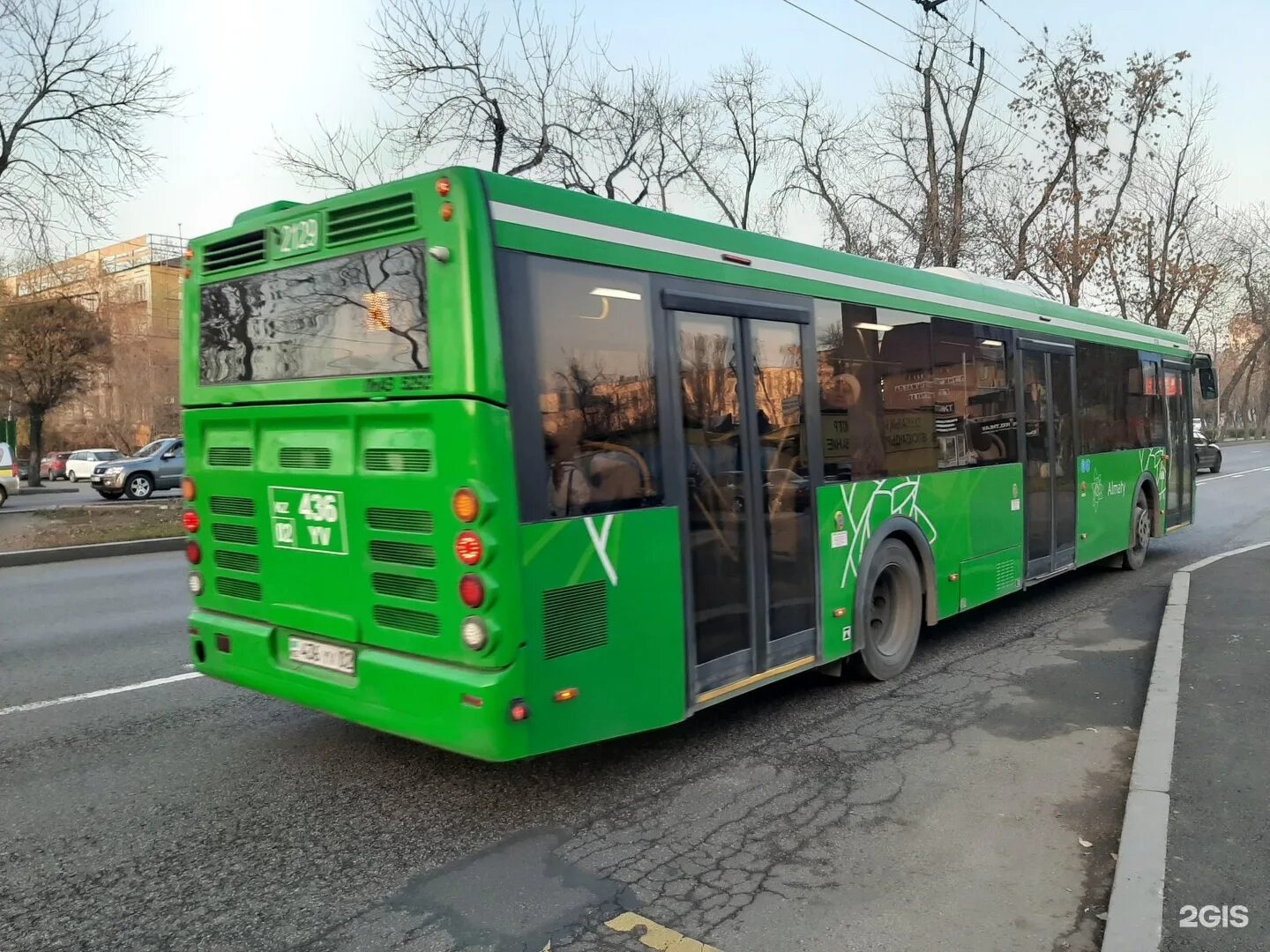 Автобус МАЗ 2023. Зеленый автобус. Автобус зеленого цвета.