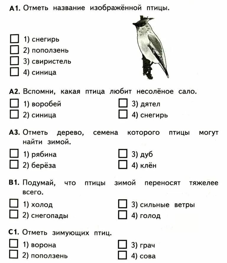 Тест класс птицы вариант 2 ответы. Задания по теме птицы 1 класс окружающий мир. Тесты окруж мир 1 класс 1 четверть. Заданияпт окружающему миру для 1 класса. Тест по окружающему миру.