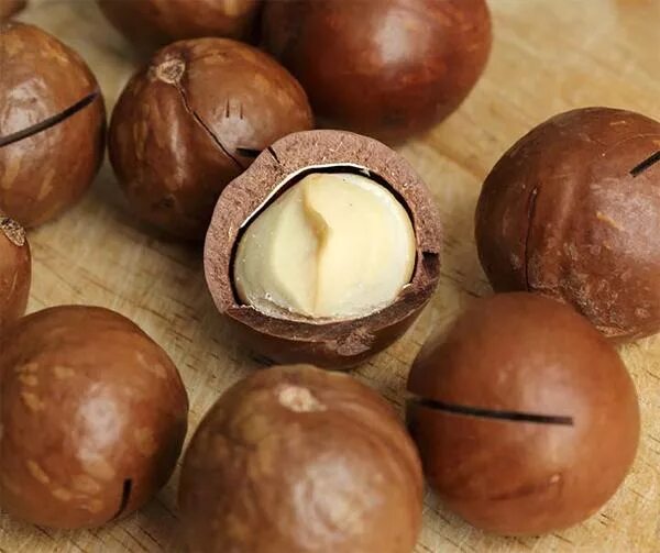Как называется орех со вкусом шоколада. Коричневый орех. круглые орехи. орехи круглые коричневые.