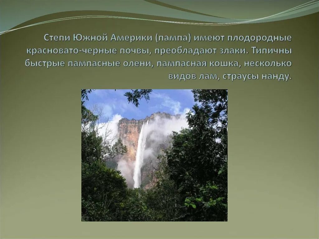 Климат пампы в Южной Америке. Почвы пампы в Южной Америке. Степи Южной Америки. Климат степей Южной Америки. Пампа природная зона южной америки