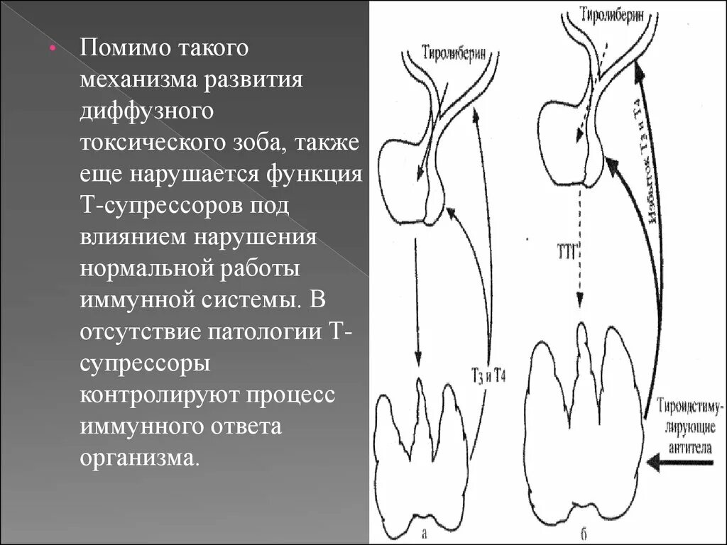 Диффузные узлы