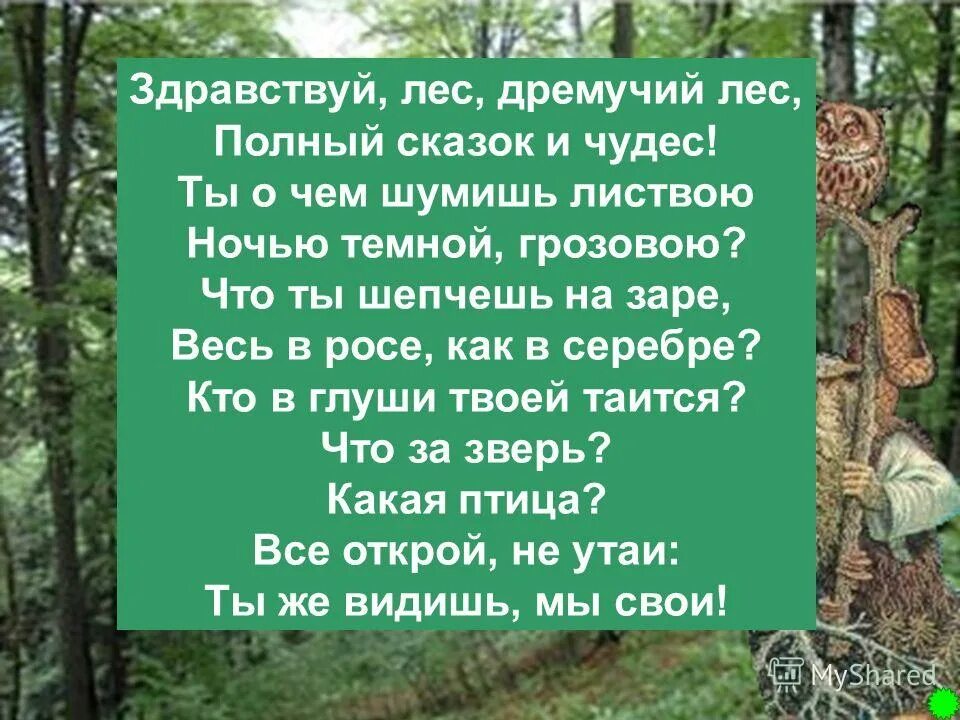 название природного сообщества – лес. почему в лесу. враги леса. почему лес в лесу живет. почему лес в лесу живет.