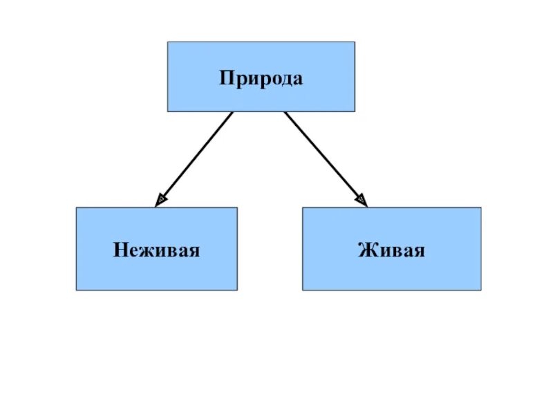 Царство живой и неживой природы