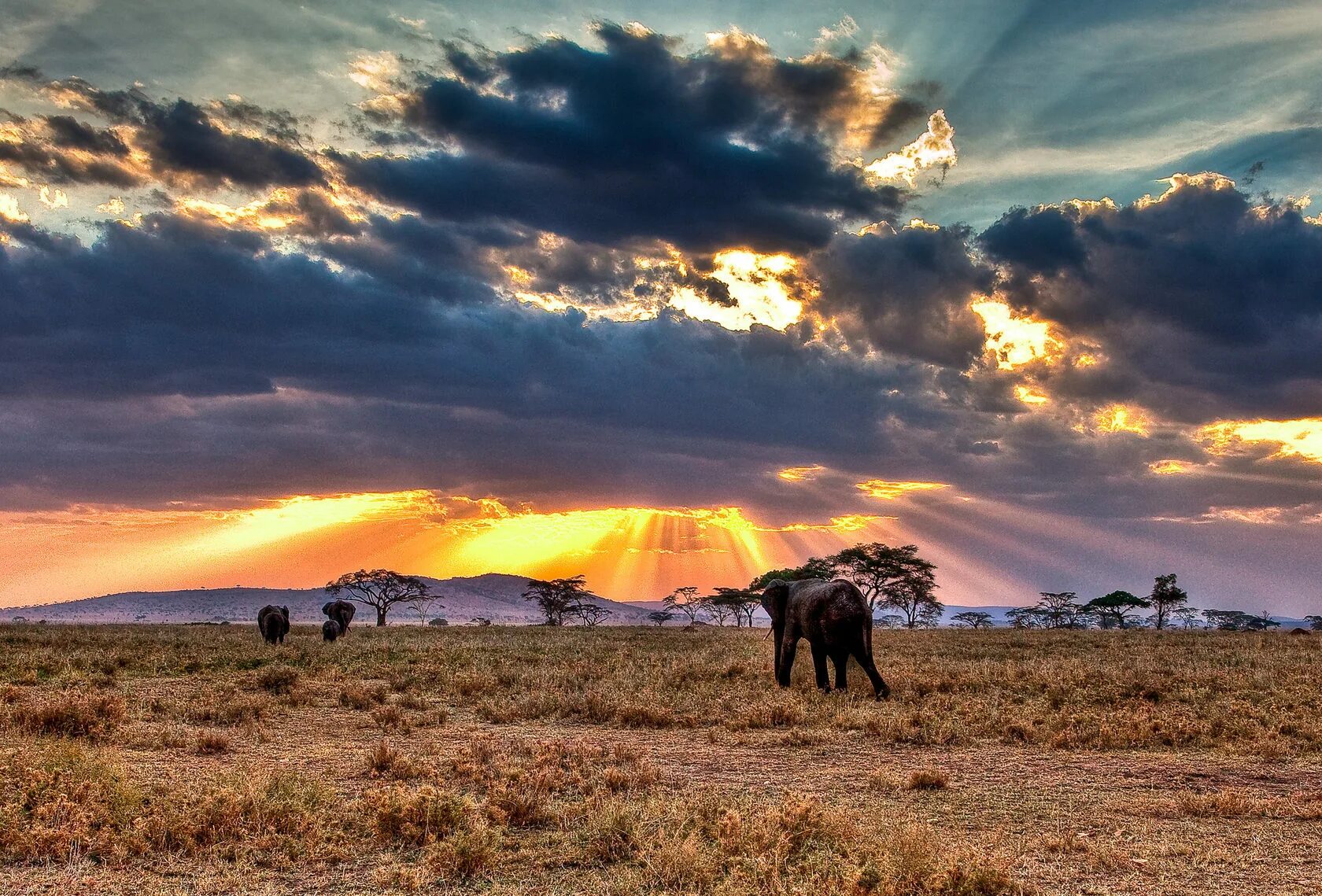 Красивая страна африки. Национальный парк Серенгети Танзания. Сафари в Танзании парк Серенгети. Национальный парк Серенгети, Танзания, Африка. Килиманджаро национальный парк Серенгети.