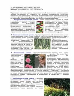Органы тканевый уровень